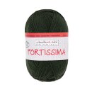 Schoeller Fortissima Uni 100g Sockenwolle 2091 jagd