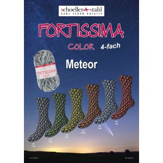 Schoeller Fortissima Meteor 100g Sockenwolle