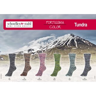 Schoeller Fortissima Tundra100g Sockenwolle