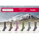 Schoeller Fortissima Tundra100g Sockenwolle