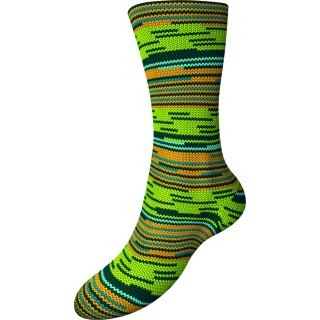 Austermann Step Arizona 100g Sockenwolle 510 Saguaro