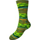 Austermann Step Arizona 100g Sockenwolle 510 Saguaro