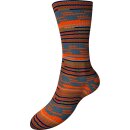 Austermann Step Arizona 100g Sockenwolle 513 Evening