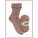 Opal Holidays100g Sockenwolle 11246 Wahrzeichen